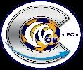 Club crest